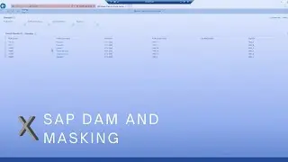 SAP Dynamic Authorization Management (DAM) & Dynamic Data Masking