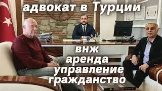 Все что нужно знать иностранцам в Турции ВНЖ Аренда Гражданство Недвижимость в Турции