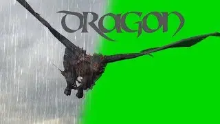 Dragon fantasy medieval dragon flies in rain and storm - green screen - free use