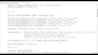 Making a Code Editor in Tkinter [Project 6]