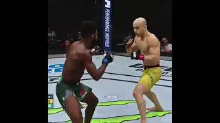 Нереальный нокаут, Marlon Moraes & Aljamain Sterling