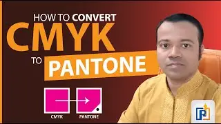 How to Convert CMYK to Pantone | CMYK to Pantone | Converting Colour in Illustrator | illustrator