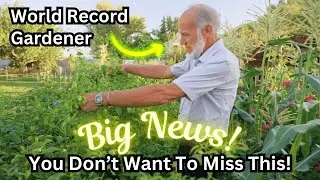 Tour The Secrets Of A No-Till World Record Vegetable Grower's Garden Tour & Huge Announcement!