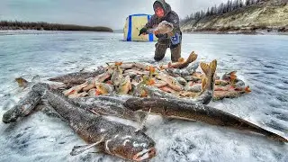 ЭТО НЕВОЗМОЖНО! ТАКОЕ ТОЛЬКО ЗДЕСЬ! УХОЖУ В ЗАТОПЛЕННЫЙ ЛЕС! РЫБАЛКА КАК В СКАЗКЕ!