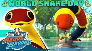 Octonauts: Above & Beyond -  🐍 Sneaky Snakes | World Snake Day  🐍 | Compilation | @Octonauts​