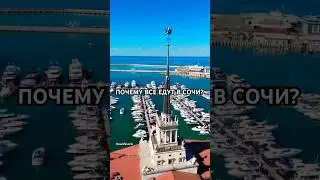 Почему все едут в Сочи?