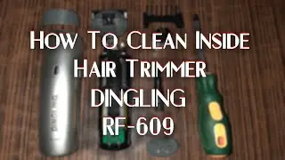 How To Clean Inside Hair Trimmer DINGLING RF-609 (Tutorial)