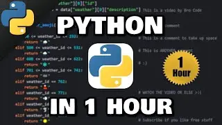 Learn Python in 1 hour! 🐍 (2024)