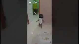 Качек дурачек!
