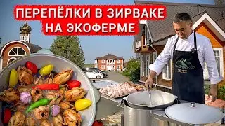 ПЕРЕПЕЛКИ ТОМЛЕННЫЕ В ЗИРВАКЕ. ЭКОФЕРМА 