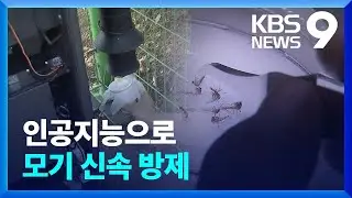 ‘여름 불청객’ 모기, 인공지능으로 잡는다! [9시 뉴스] / KBS  2024.06.22.