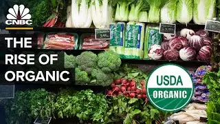 Is Organic Food Really Worth It?