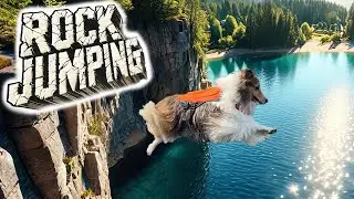 Sheltie Camping Expert Shares TOP Rock Jumping Techniques 🐶⛺️😆 e366