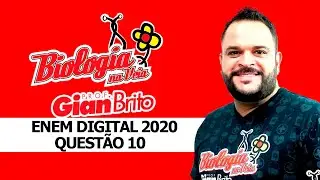 ÁCIDOS NUCLEICOS NA PROVA ENEM DIGITAL  2020 - QUESTÃO 10