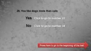 28 You like dogs more than cats