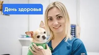 День здоровья в нашем центре - следите за новостями, чтобы не пропустить следующий!