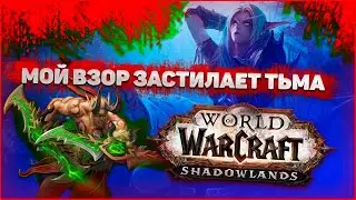 WORLD OF WARCRAFT SHADOWLANDS, ВАРКРАФТ БОЛЬШЕ НИКОГДА НЕ БУДЕТ ПРЕЖНИМ, ВОВ ВОССТАЛ ИЗ ПЕПЛА, аниме