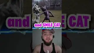 CATNAP VS SMILE CAT IN REAL LIFE!! #zoonomaly