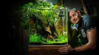 BETTA PARADISE Tutorial! 🌿 Massive 33 Gallon aquarium for Billy (the Betta)