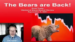 The Bears are Back - Weekly Market Review 9.5.22