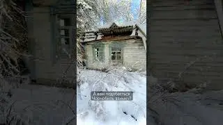 #сталкер