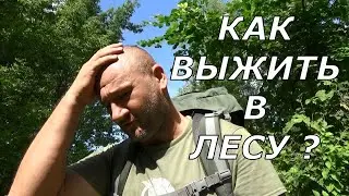 Как выжить в лесу? Подробный анализ и алгоритм действий.