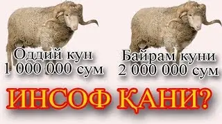 инсоф кани?