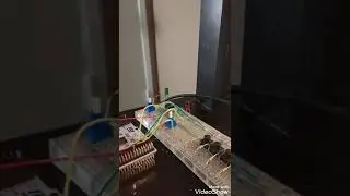 jingle bells w/ piezo buzzer 