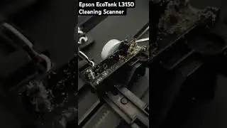 Epson EcoTank L3150 Scanner Cleaning Guide. #shorts #short #shortsfeed #shortvideo #scanner #epson