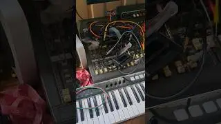 analog sound should I connect compressor and EQ to a aux send