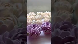 Пионы 🤍