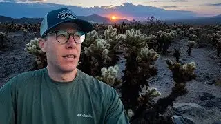 Sunrise Landscape Photography in Joshua Tree National Park