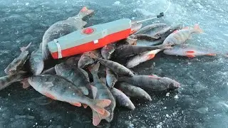 ШОК! Ловля ОКУНЯ 🐡🐟 Зимой на ЭЛЕКТРОУДОЧКУ