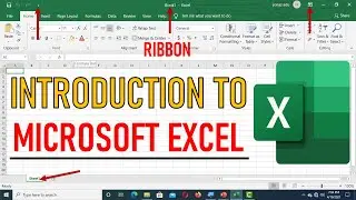 Introduction to Microsoft Excel - Complete Course (Beginners Guide)