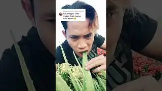 makan lidah buaya