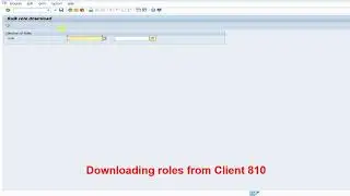 Mass Role Download and Upload in SAP | SAP Security