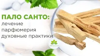 Эфирное масло ПАЛО САНТО. Для терапии, парфюмерии, духовных практик