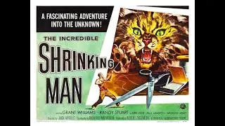 THE INCREDIBLE SHRINKING MAN (1957) ENDING HD