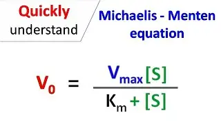 Michaelis Menten equation