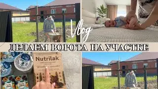 VLOG: Делаем ВОРОТА/Схема ПРИКОРМА/Сетка на ОКНА/Принимаю ВИТАМИНЫ