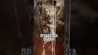 Сталкерские Рассказы | Пища в зоне | #stalker2 #сталкер #мистика #сталкер2 #stalker