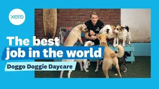 The Best Job in the World | Xero