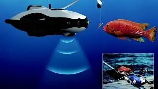 Необычная новинка! Дрон приманка для рыбалки