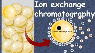 Ion Exchange Chromatography | Cation exchange chromatography | anion exchange chromatography