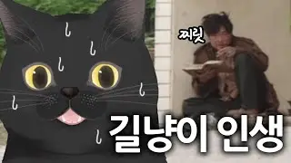 길냥이가 되었습니다..😿