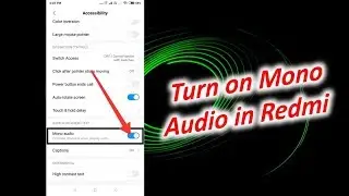 Enable Mono Audio in Redmi Note 5