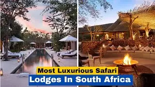 Top 5 Most Luxurious Safari Lodges In South Africa