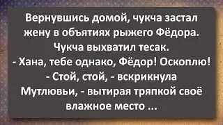 Чукча Застал Жену с Рыжим Геологом ! Сборник Самых Свежих Анекдотов! Юмор