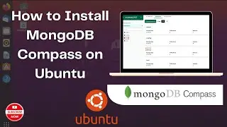 How to Install MongoDB Compass on Ubuntu