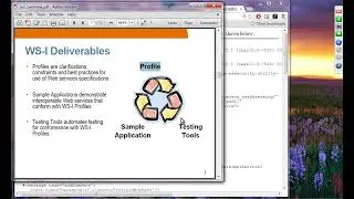 Webservices I Basic Profile Overview